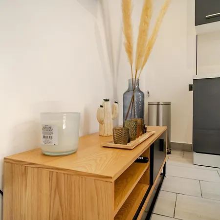 Cocon Elegant En Plein Centre De * Περπινιάν