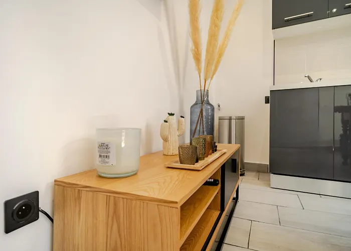 Cocon Elegant En Plein Centre De * Περπινιάν