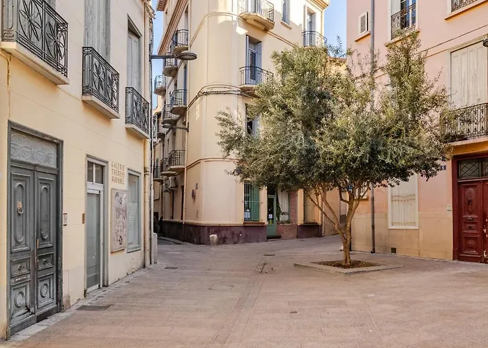 Cocon Elegant En Plein Centre De * Περπινιάν