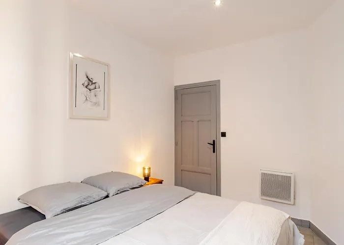 Cocon Elegant En Plein Centre De